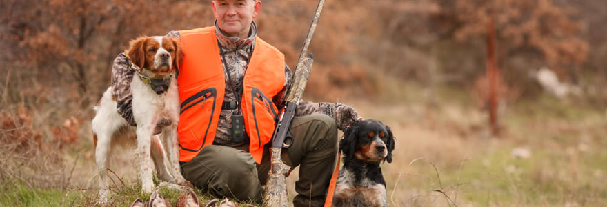 dresser son chien pour la chasse