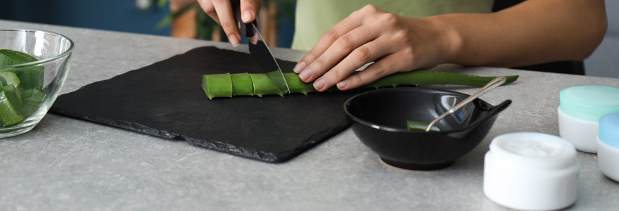 Produits à base d'aloe vera