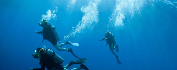 plongée sous-marine