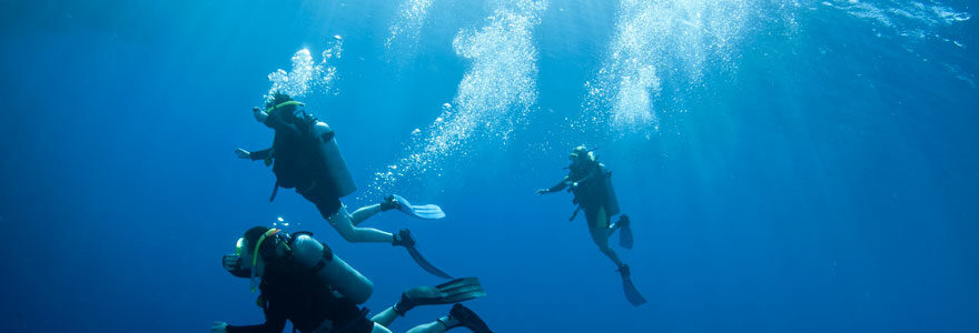 plongée sous-marine