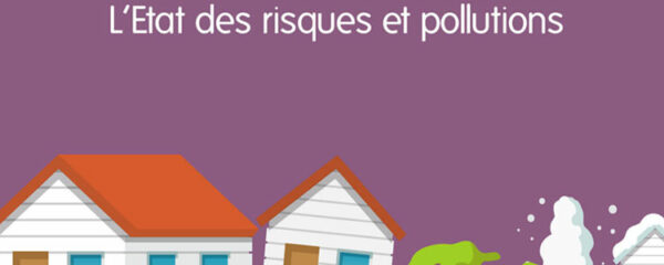 État des Risques et Pollutions