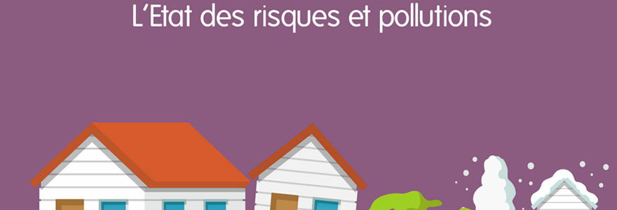 État des Risques et Pollutions