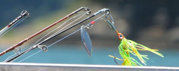 bien pêcher le brochet