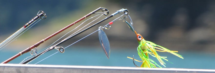 bien pêcher le brochet