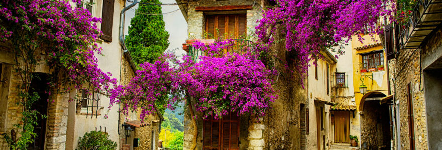 Provence