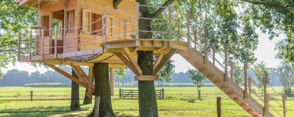 cabane dans les arbres