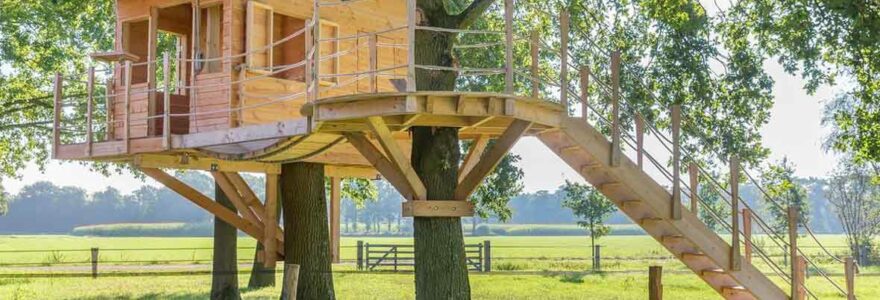 cabane dans les arbres