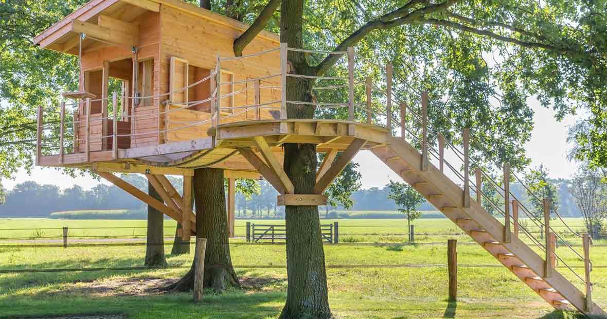 cabane dans les arbres