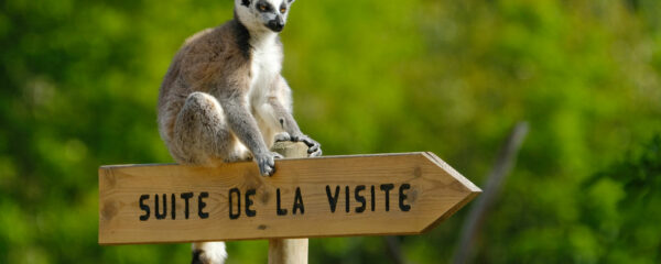 parc zoo lyon