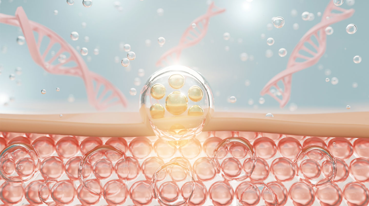 Planche anatomique scientifique montrant une coupe de peau avec fibres de collagène dans le derme et schéma de cartilage articulaire